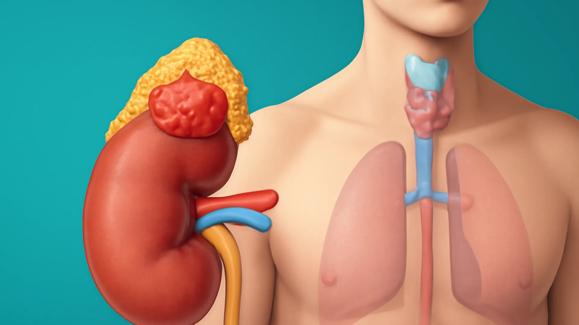 Gangguan Fungsi Kelenjar Adrenal