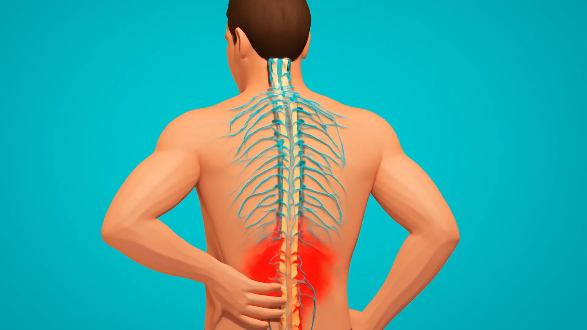 Nyeri Punggung Bawah (Low Back Pain)