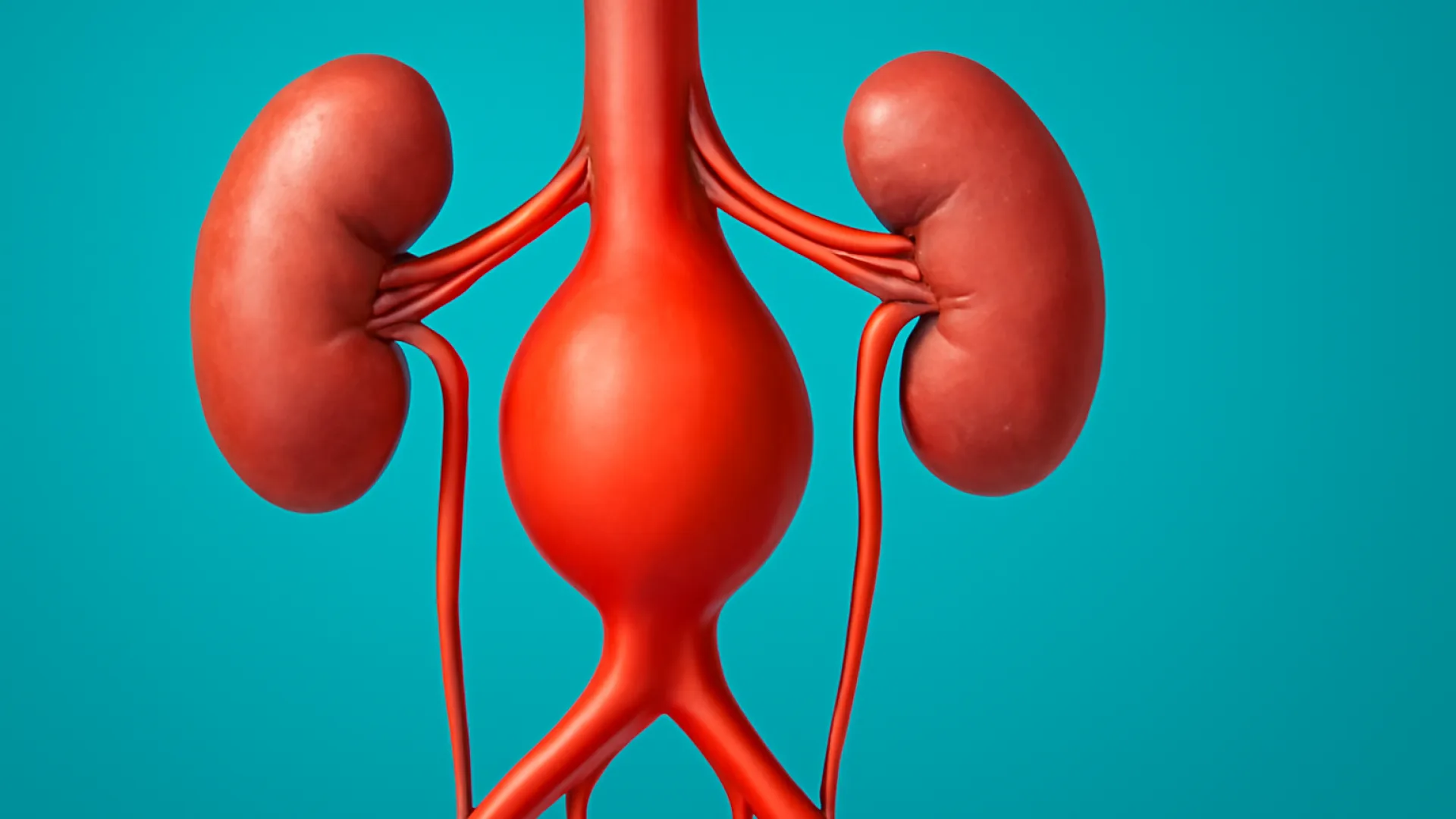 Aneurisma Aorta Abdominalis (AAA)