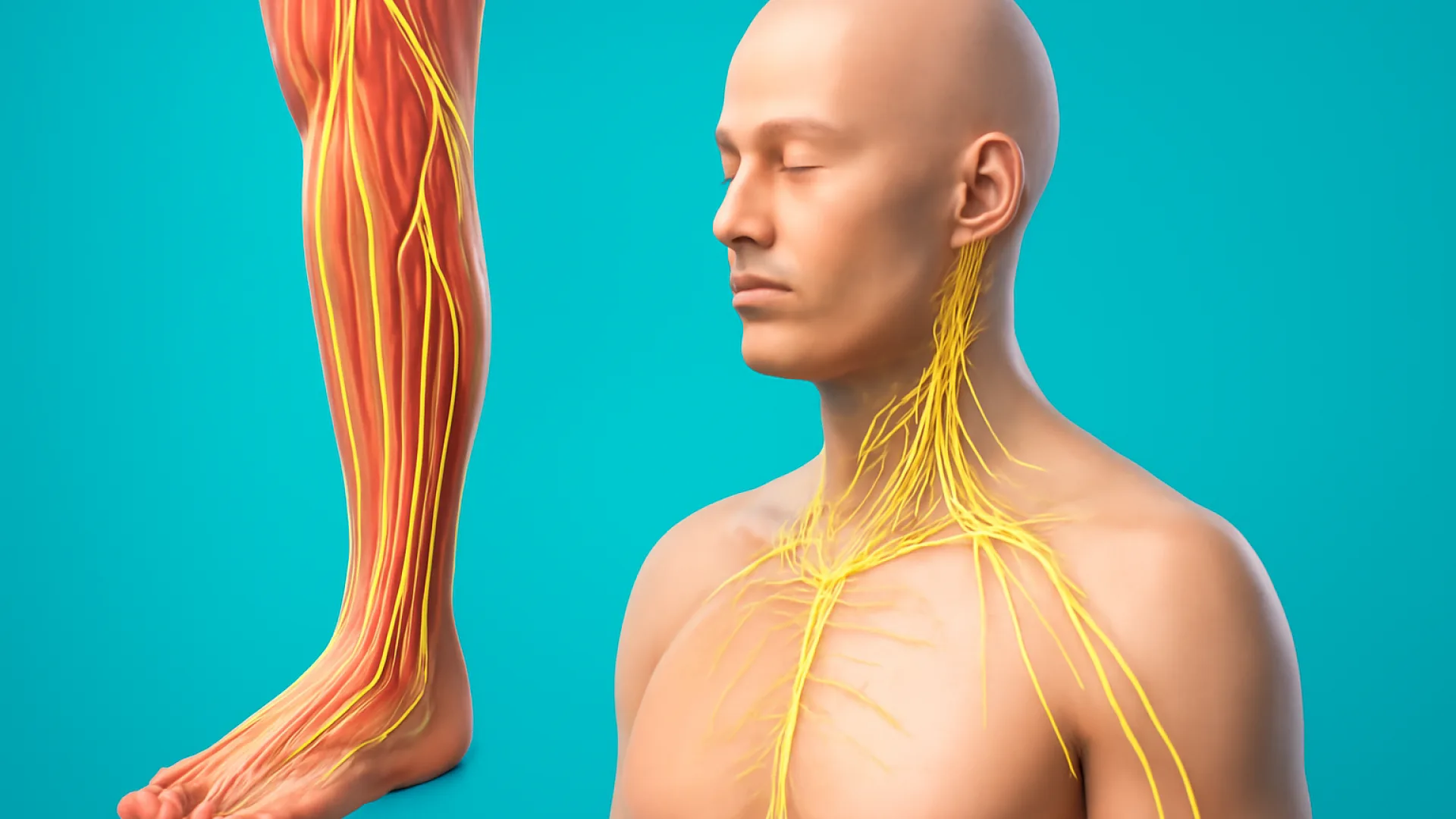 Guillain-Barré Syndrome (GBS)